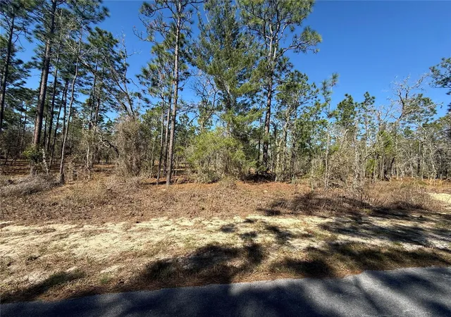 Photo 1 of Land for sale at Lot Se 5 130 Court, Dunnellon, FL 34431 | MLS# TB8485155 | Listing updated on 2026-09-14