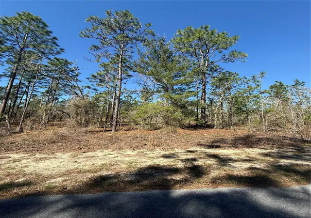 Photo 2 of Land for sale at Lot Se 5 130 Court, Dunnellon, FL 34431 | MLS# TB8485155 | Listing updated on 2026-09-14