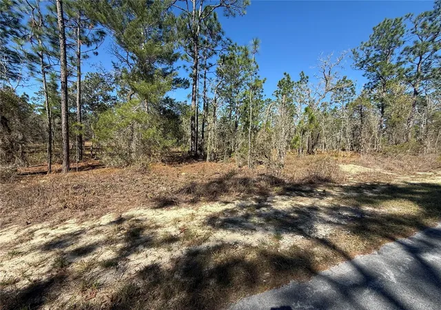 Photo 3 of Land for sale at Lot Se 5 130 Court, Dunnellon, FL 34431 | MLS# TB8485155 | Listing updated on 2026-09-14