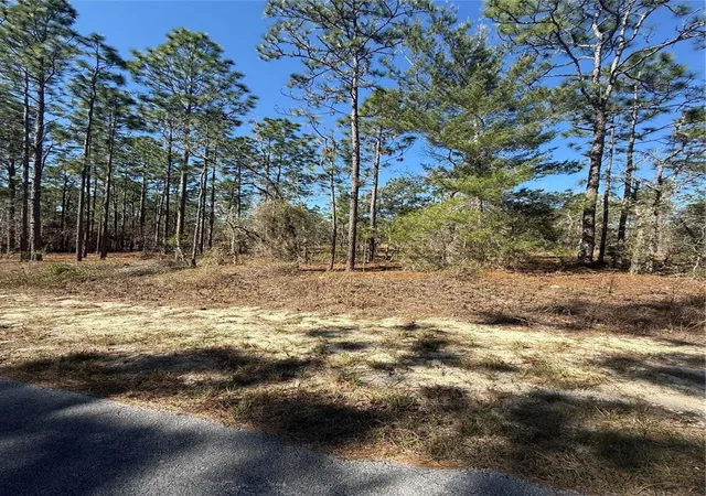 Photo 3 of Land for sale at Lot SE 5 130 Court, Dunnellon, FL 34431 | MLS# TB8485155 | Listing updated on 2026-09-14