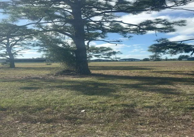 Photo 1 of Land for sale at 19 Carline Ln, Placida, FL 33946 | MLS# O6391491 | Listing updated on 2026-09-12