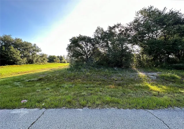 Photo 2 of Land for sale at 0 Mediterranean Dr, Kissimmee, FL 34759 | MLS# O6396146 | Listing updated on 2026-09-11
