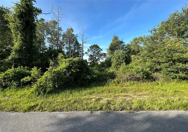 Land for sale at 112 Warmouth Ln, Kissimmee, FL 34759 | MLS# O6396147