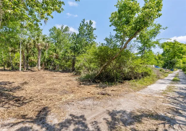 Photo 3 of Land for sale at 0 Muddy Water Trl, Thonotosassa, FL 33592 | MLS# TB8494444 | Listing updated on 2026-09-15