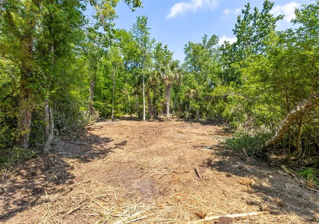 Photo 3 of Land for sale at 0 Muddy Water Trl, Thonotosassa, FL 33592 | MLS# TB8494444 | Listing updated on 2026-09-15