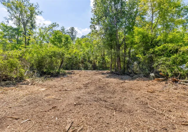 Photo 4 of Land for sale at 0 Muddy Water Trl, Thonotosassa, FL 33592 | MLS# TB8494444 | Listing updated on 2026-09-15