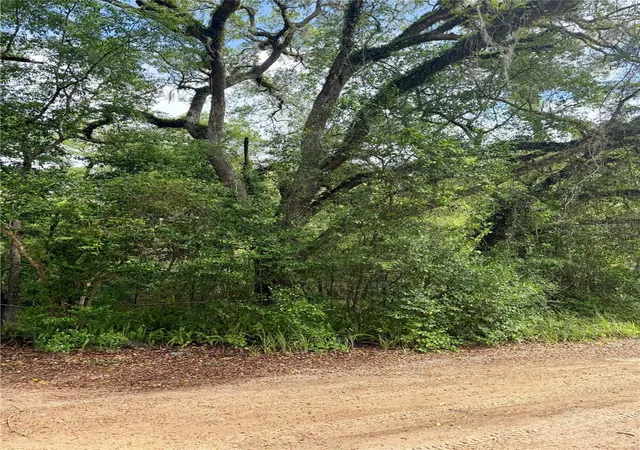 Photo 2 of Sale Pending at Tbd Ne 130 Place, Fort Mc Coy, FL 32134 | MLS# OM722348 | Listing updated on 2026-09-09