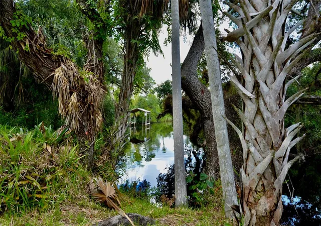 Photo 83 of Single family home for sale at 18220 Elmwood Dr, ALVA, FL 33920 | MLS# C7525120 | Listing updated on 2026-10-11