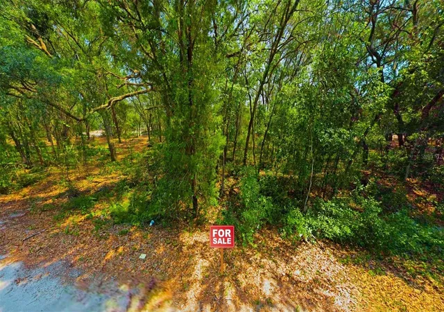 Photo 3 of Land for sale at Tbd Lot 34 Malauka Radl, Ocklawaha, FL 32179 | MLS# A4691232 | Listing updated on 2026-09-12