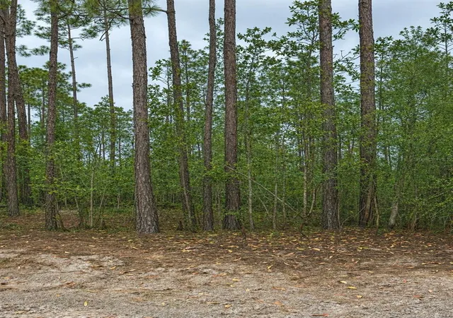 Photo 1 of Land for sale at Tbd Nw 2nd Avenue, Palatka, FL 32177 | MLS# GC539891 | Listing updated on 2026-09-14