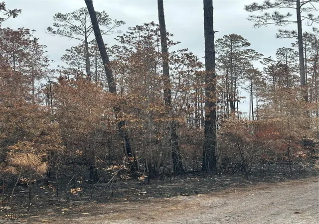 Photo 2 of Land for sale at Tbd Nw 2nd Avenue, Palatka, FL 32177 | MLS# GC539891 | Listing updated on 2026-09-14
