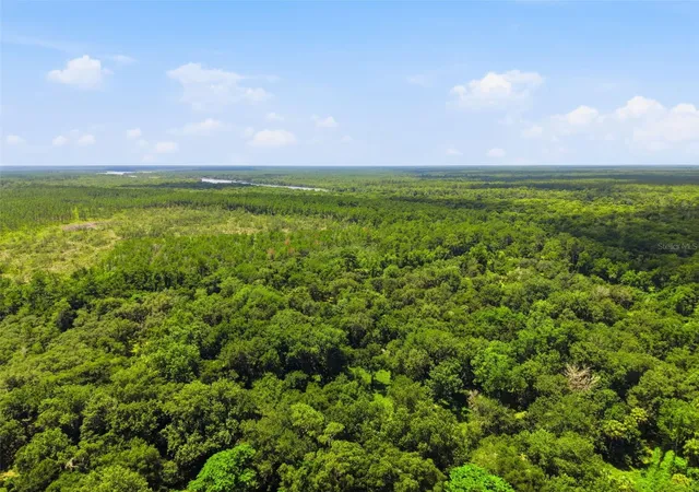 Photo 3 of Land for sale at 2140 St Johns River Rd, Astor, FL 32102 | MLS# V4948899 | Listing updated on 2026-09-10
