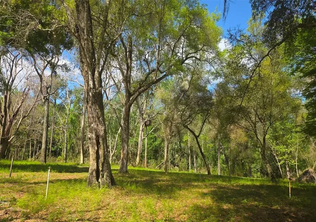 Photo 4 of Land for sale at 2140 St Johns River Rd, Astor, FL 32102 | MLS# V4948899 | Listing updated on 2026-09-10