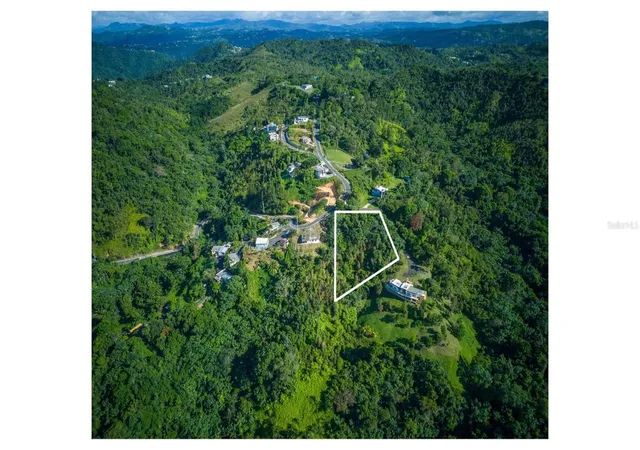 Photo 1 of Land for sale at Pr 879 Bo Guaraguao Arriba #10, Bayamon, PR 00956 | MLS# PR9121233 | Listing updated on 2026-09-14