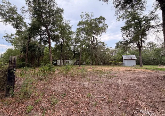 Photo 3 of Land for sale at 117 Breezy Oak Ln, Fort Mc Coy, FL 32134 | MLS# GC540221 | Listing updated on 2026-09-08