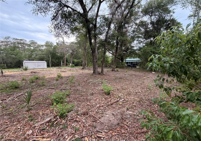 Photo 3 of Land for sale at 117 Breezy Oak Ln, Fort Mc Coy, FL 32134 | MLS# GC540221 | Listing updated on 2026-09-08
