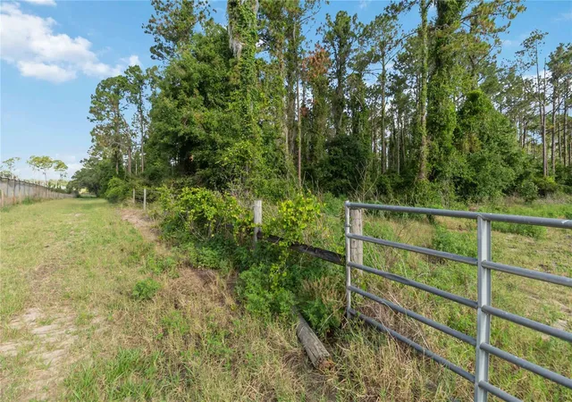 Photo 2 of Land for sale at 23175 N Buckhill Rd, Howey In The Hills, FL 34737 | MLS# O6408786 | Listing updated on 2026-09-10