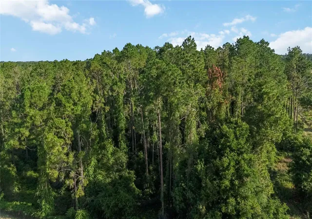 Photo 4 of Land for sale at 23175 N Buckhill Rd, Howey In The Hills, FL 34737 | MLS# O6408786 | Listing updated on 2026-09-10