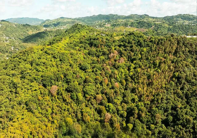Photo 2 of Land for sale at Carr 853 Bo Cacao Lote 15, Carolina, PR 00987 | MLS# PR9121536 | Listing updated on 2026-09-15