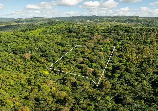 Photo 3 of Land for sale at Carr 853 Bo Cacao Lote 15, Carolina, PR 00987 | MLS# PR9121536 | Listing updated on 2026-09-15