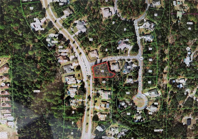 Photo 3 of Land for sale at 1 Hazelwood Dr, Homosassa, FL 34446 | MLS# OM726362 | Listing updated on 2026-09-14