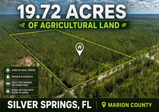 Photo 1 of Land for sale at Ne 90th Street Rd, Fort Mc Coy, FL 32134 | MLS# TB8520776 | Listing updated on 2026-09-09