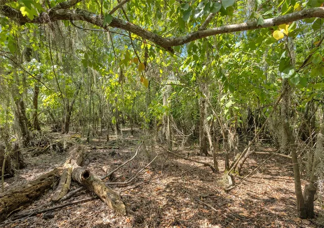 Photo 2 of Land for sale at 0000 Cummer Rd, De Land, FL 32720 | MLS# OM727107 | Listing updated on 2026-09-08