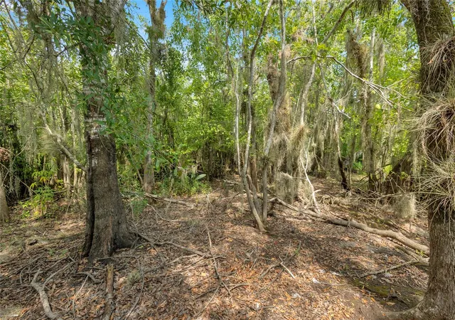 Photo 3 of Land for sale at 0000 Cummer Rd, De Land, FL 32720 | MLS# OM727107 | Listing updated on 2026-09-08