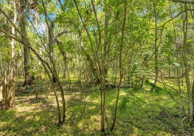 Photo 4 of Land for sale at 0000 Cummer Rd, De Land, FL 32720 | MLS# OM727107 | Listing updated on 2026-09-08