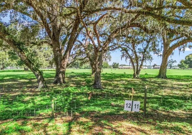 Photo 3 of Land for sale at Lot 12 Cr 543, Bushnell, FL 33513 | MLS# TB8523193 | Listing updated on 2026-10-02
