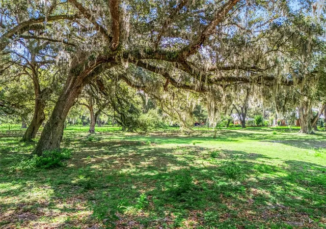 Photo 3 of Land for sale at Lot 12 Cr 543, Bushnell, FL 33513 | MLS# TB8523193 | Listing updated on 2026-10-02