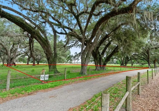Photo 4 of Land for sale at Lot 12 Cr 543, Bushnell, FL 33513 | MLS# TB8523193 | Listing updated on 2026-10-02