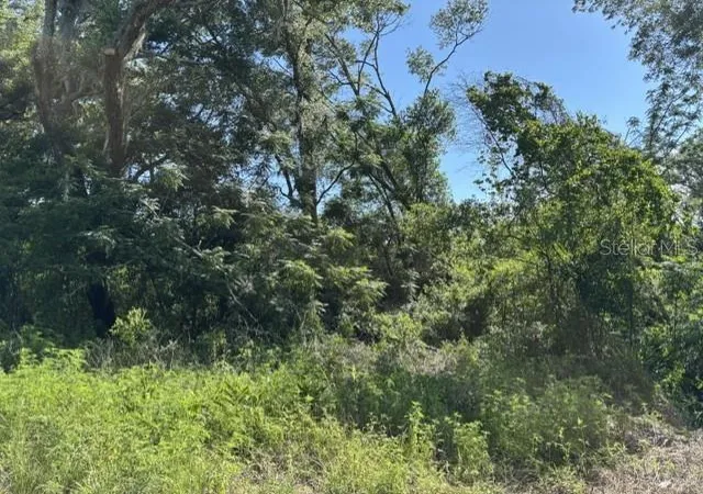 Photo 2 of Land for sale at 7157 Glory Rd, Zephyrhills, FL 33540 | MLS# L4963211 | Listing updated on 2026-09-15