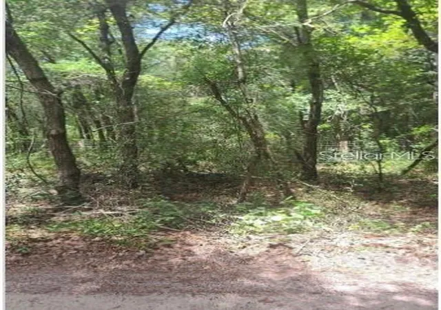 Land for sale at Southwest 156th Pl, DUNNELLON, FL 34432 | MLS# P4939256