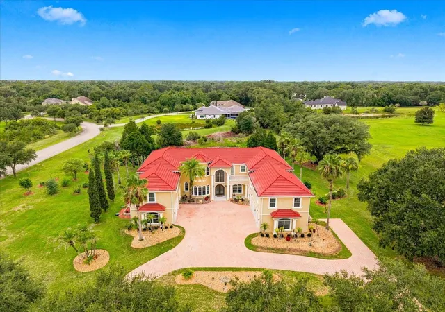 Photo 3 of Mansion for sale at 19402 Jacobs River Run, Wesley Chapel, FL 33559 | MLS# TB8528104 | Listing updated on 2026-10-05