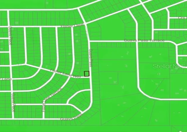 Photo 2 of Land for sale at Blk 1222 Lot 14 Fisher Ln Way, Ocklawaha, FL 32179 | MLS# OM728320 | Listing updated on 2026-09-11