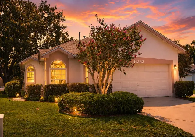 Photo 1 of Single family home for sale at 11333 Pink Blossom Ct, Orlando, FL 32821 | MLS# O6425943 | Listing updated on 2026-09-19