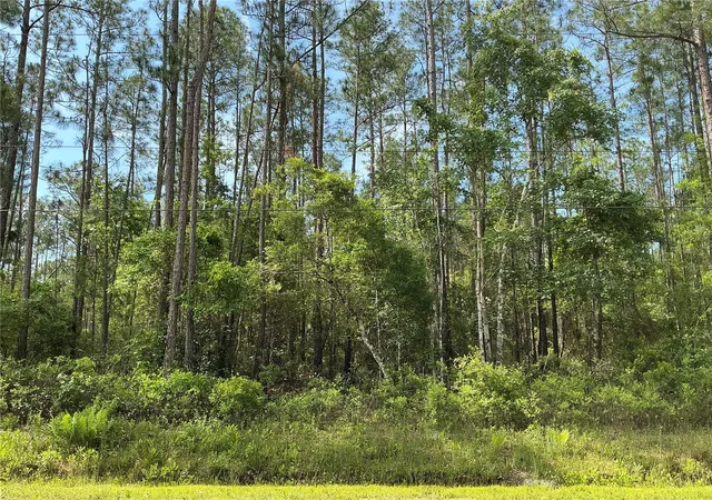Photo 1 of Land for sale at 4425 Joyce St, Hastings, FL 32145 | MLS# OM729019 | Listing updated on 2026-09-15