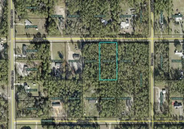 Photo 2 of Land for sale at 4425 Joyce St, Hastings, FL 32145 | MLS# OM729019 | Listing updated on 2026-09-15