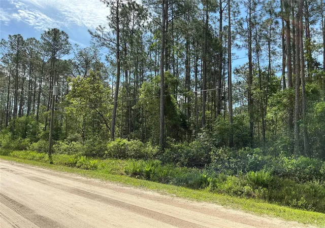 Photo 3 of Land for sale at 4425 Joyce St, Hastings, FL 32145 | MLS# OM729019 | Listing updated on 2026-09-15