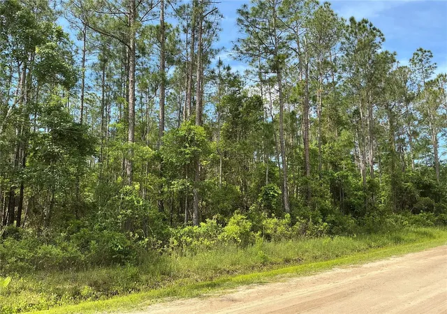 Photo 3 of Land for sale at 4425 Joyce St, Hastings, FL 32145 | MLS# OM729019 | Listing updated on 2026-09-15