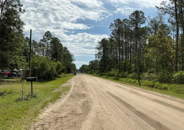Photo 4 of Land for sale at 4425 Joyce St, Hastings, FL 32145 | MLS# OM729019 | Listing updated on 2026-09-15