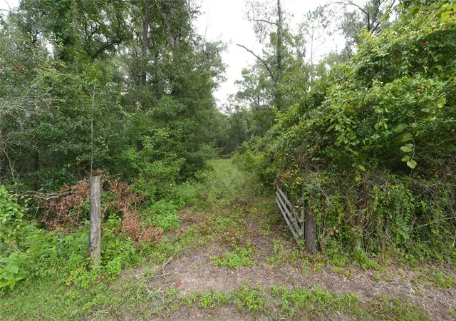 Photo 3 of Land for sale at 13205 S Crater Ter, Floral City, FL 34436 | MLS# TB8532039 | Listing updated on 2026-10-02