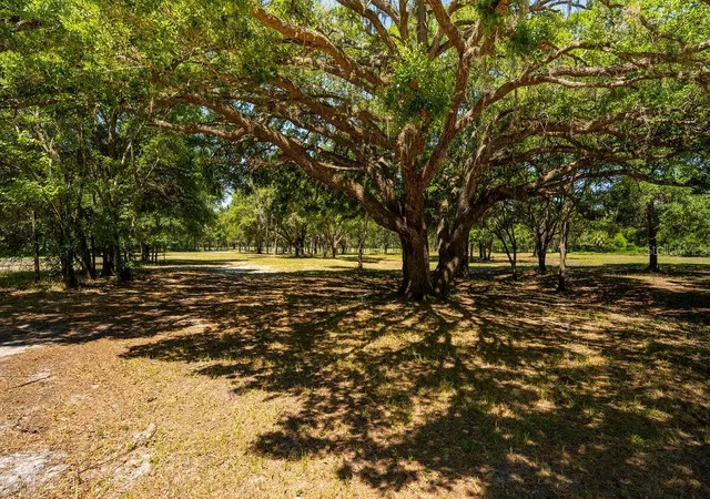 Photo 3 of Land for sale at 0 Miller Rd, Dade City, FL 33525 | MLS# TB8533597 | Listing updated on 2026-09-14