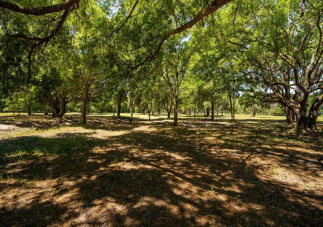 Photo 3 of Land for sale at 0 Miller Rd, Dade City, FL 33525 | MLS# TB8533597 | Listing updated on 2026-09-14