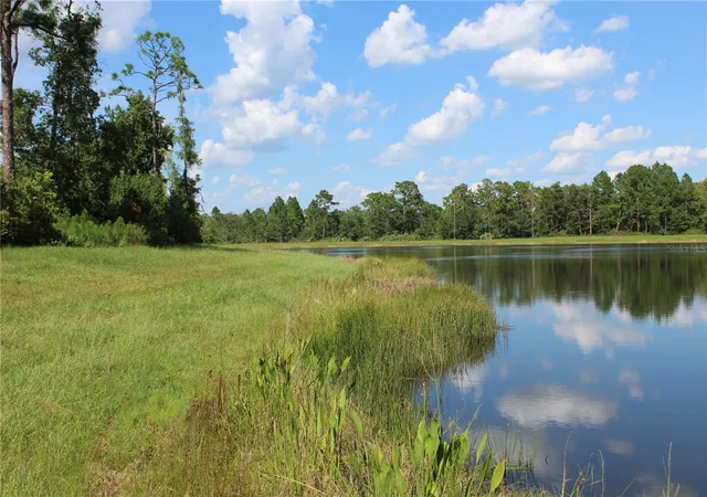 Photo 3 of Land for sale at Dolphin Cir, Orlando, FL 32833 | MLS# O6430243 | Listing updated on 2026-09-12