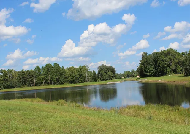 Photo 4 of Land for sale at Dolphin Cir, Orlando, FL 32833 | MLS# O6430243 | Listing updated on 2026-09-12
