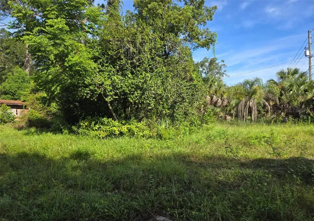Photo 1 of Land for sale at 5028 Mount Plymouth Rd, Apopka, FL 32712 | MLS# V4950539 | Listing updated on 2026-09-08