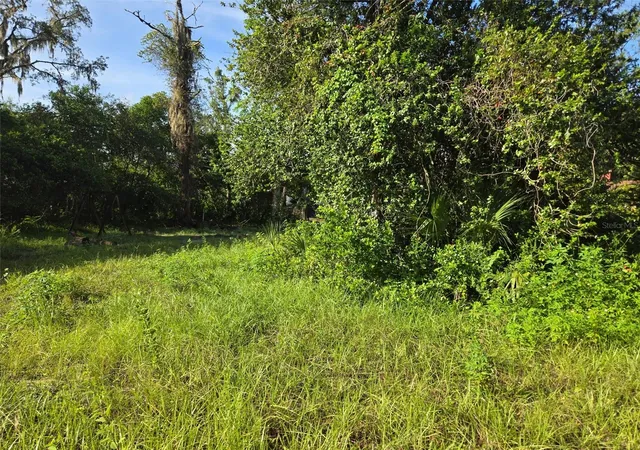 Photo 4 of Land for sale at 5028 Mount Plymouth Rd, Apopka, FL 32712 | MLS# V4950539 | Listing updated on 2026-09-08