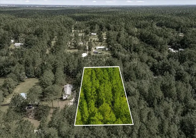 Land for sale at 000 SW 34th Street, DUNNELLON, FL 34432 | MLS# TB8536121